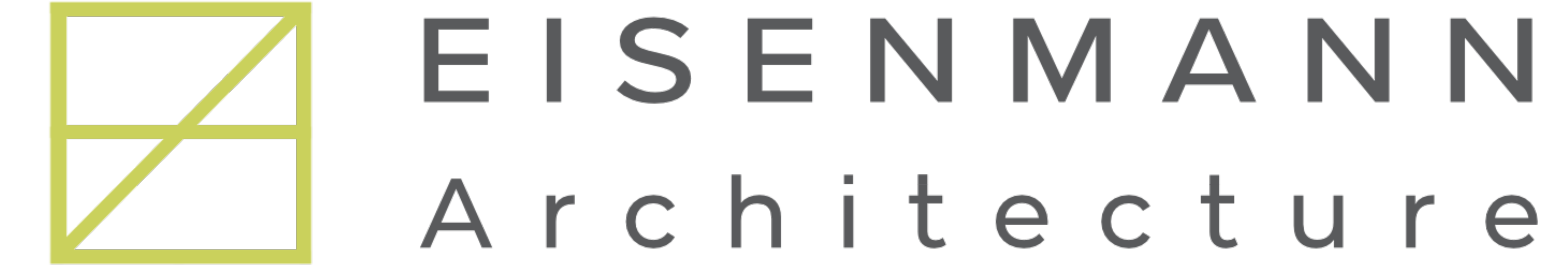 Eisenmann Logo 2.png