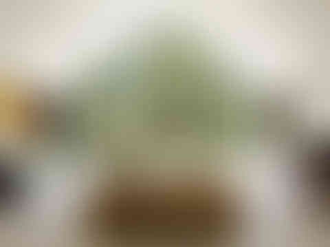 manzanita residence luxury residential bay area contractor brookstone builders