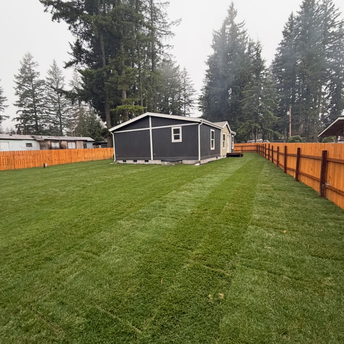 Fresh sod installation and new lawn establishment for a residential backyard in Whatcom County.