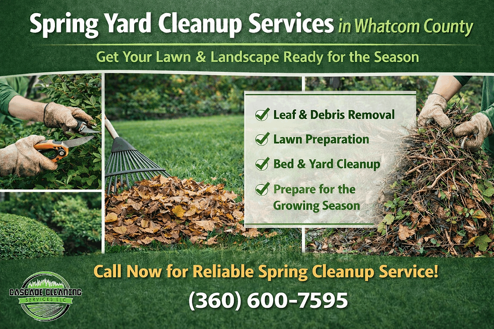 Spring yard cleanup services in Whatcom County including leaf removal lawn preparation debris cleanup and landscape bed cleanup by Cascade Proscape.
