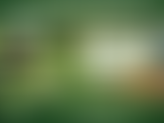 Cascade Proscape lawn care services starting March 1st in Whatcom County with mowing, edging, spring cleanups, and weed control.