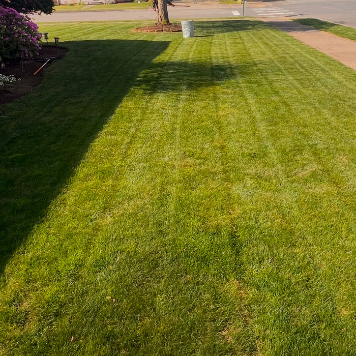 Professional lawn mowing and maintenance service in Lynden, WA, featuring diagonal mowing stripes.