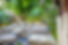 _MG_1895-HDR.jpg