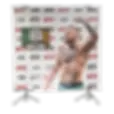 Backing-tripode-conor-mcgregor-graficando-servicios-ufc-gym.webp