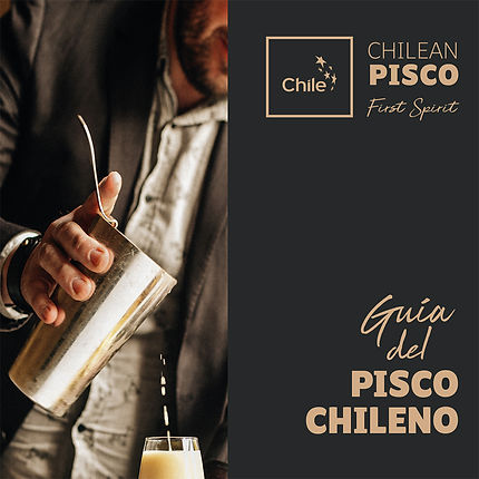 Portada-Guía-del-Pisco-Chileno-1.jpg