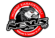 Untitled design (9).png