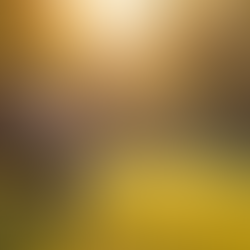 Empowering Single Mothers Through Personal Stories and Shared Experiences