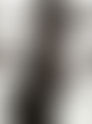 Behind the Brand: Stories from Women Who Changed Their Worlds