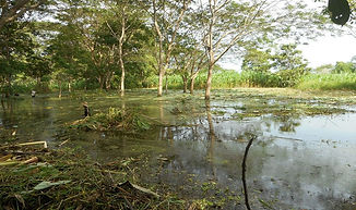 ciénaga-de-corralito-1132x670.jpg