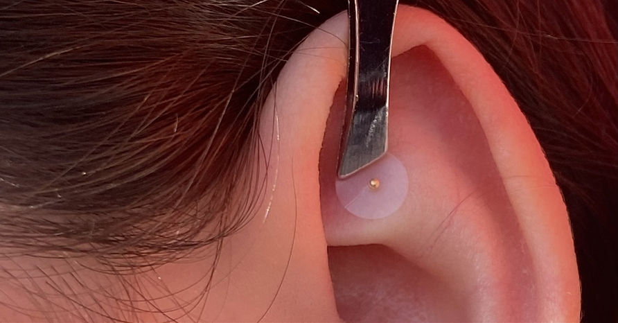 Ear seed_edited.jpg