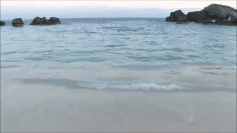 OCEAN WAVES.gif