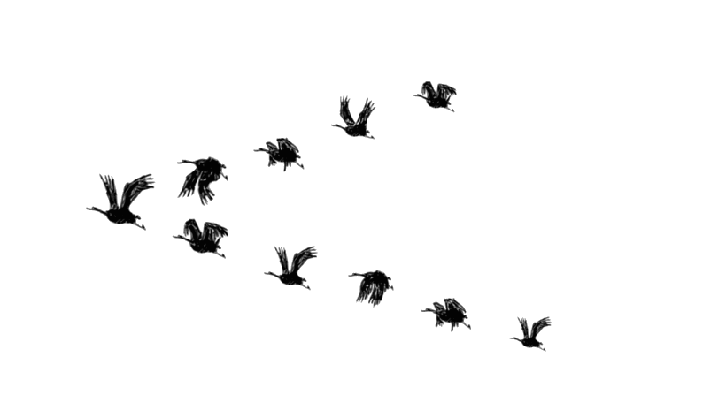 Birds Flying gif.gif