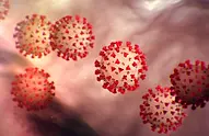 Coronavirus.webp