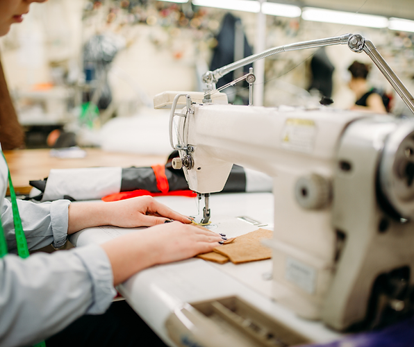 מיני סייט-מפעל מוגן.png