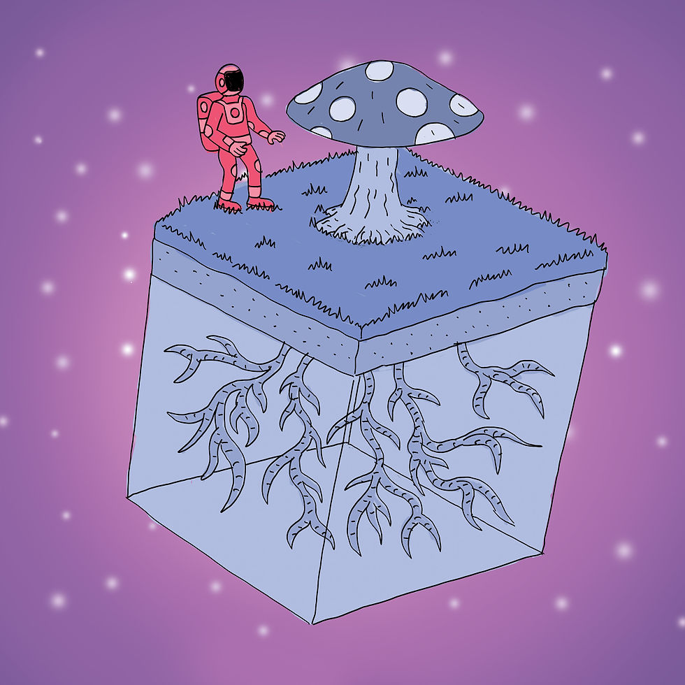 Astronaute 1/4
