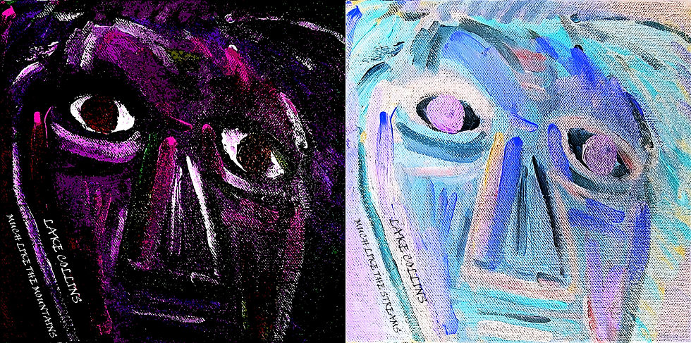 DOUBLE ALBUM COVERS
