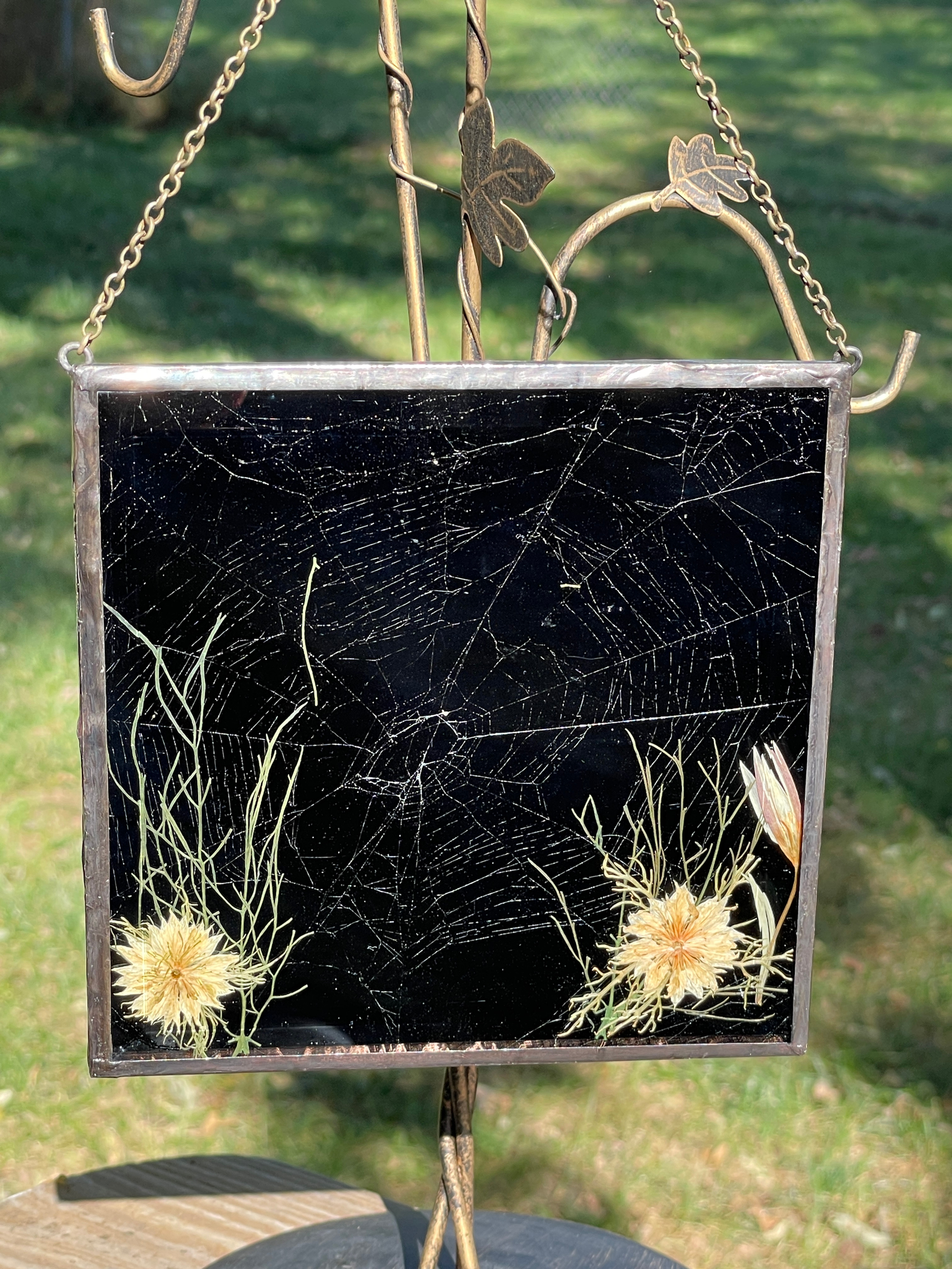 Stained glass encased spider web