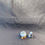 Thumbnail: Blob Pigeon