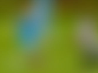 Shields travel to Boldon CA for Sam Bartram Cup 2024