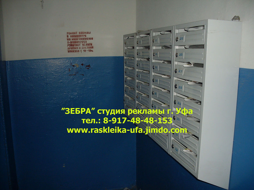SDC14445.JPG