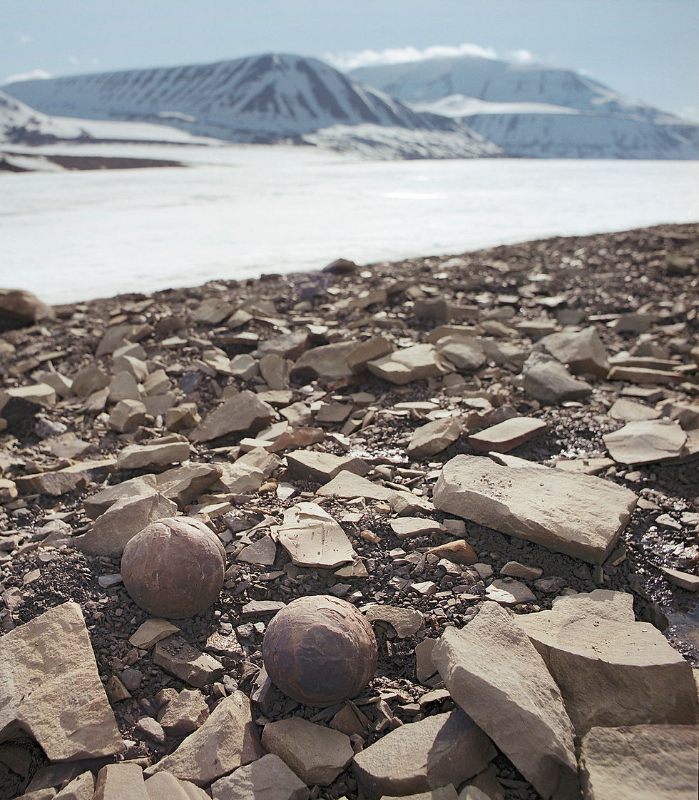 Cannonballs? Image ©Chris Searston