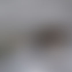 Near Neighbour, Belsund 1996