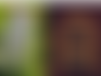 The Throne and the Lamb