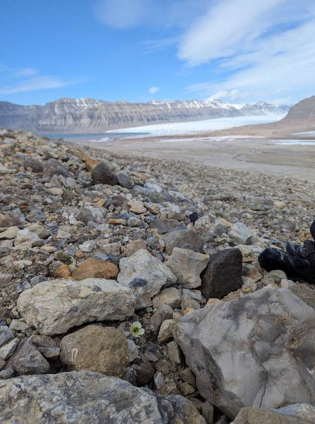 An amazing place to do research work - image © Natalia Sarmanto