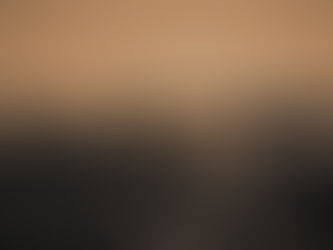 Jesus the Shepherd - Sunday 30th April 10:30am