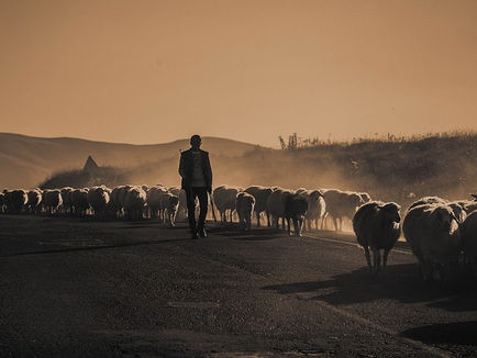 Jesus the Shepherd - Sunday 30th April 10:30am