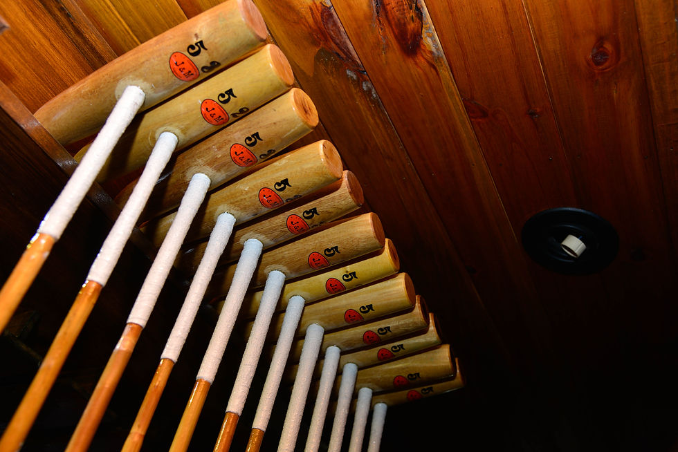 Polo mallets, Polo boots, Polo helmet, Polo saddles, Polo bridles, Polo gloves, Customize products for polo, Polo equipment,