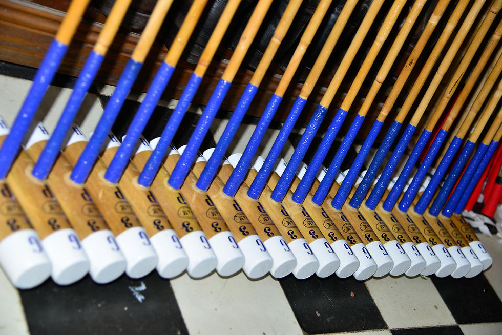 Thumbnail: Polo mallets, Polo boots, Polo helmet, Polo saddles, Polo bridles, Polo gloves, Customize products for polo, Polo equipment,