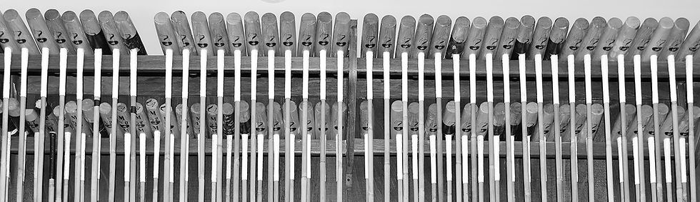 Polo mallets, Polo boots, Polo helmet, Polo saddles, Polo bridles, Polo gloves, Customize products for polo, Polo equipment, Polo Player, Polo Horses, Polo kneepads, products to play polo, polo argentina, polo online, buy polo articles online, best polo products, polo sale, polo for clubs, The best polo tack online, Lascano, Casablanca, La Martina, Ona, Krono, Prisa, Roy Barry, Bombers, Cavalier, Tacos Top, Top Mallets, polo splice, tackeria, Zappala, Fagliano, Oplon Helmets, Armis, Charles Owen, Navarro Saddlery, Miguel Acuña, Ainsley, Epona, Husk, Professional Choice, Franklin