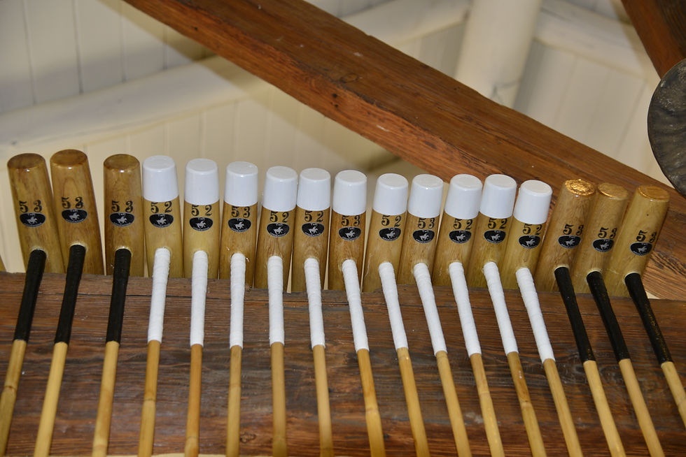 Miniatura: Polo mallets, Polo boots, Polo helmet, Polo saddles, Polo bridles, Polo gloves, Customize products for polo, Polo equipment,