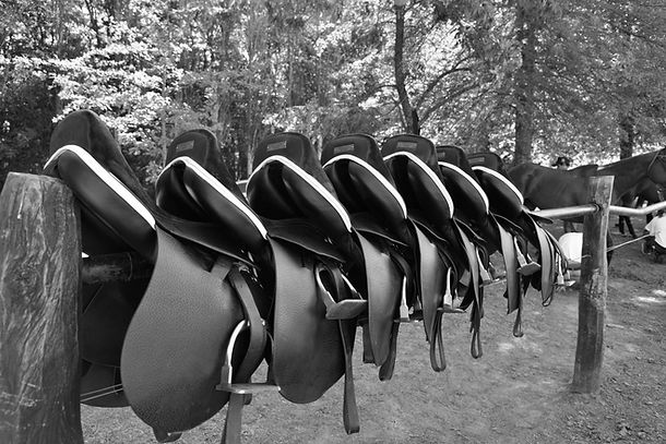 Polo mallets, Polo boots, Polo helmet, Polo saddles, Polo bridles, Polo gloves, Customize products for polo, Polo equipment, Polo Player, Polo Horses, Polo kneepads, products to play polo, polo argentina, polo online, buy polo articles online, best polo products, polo sale, polo for clubs, The best polo tack online, Lascano, Casablanca, La Martina, Ona, Krono, Prisa, Roy Barry, Bombers, Cavalier, Tacos Top, Top Mallets, polo splice, tackeria, Zappala, Fagliano, Oplon Helmets, Armis, Charles Owen, Navarro Saddlery, Miguel Acuña, Ainsley, Epona, Husk, Professional Choice, Franklin