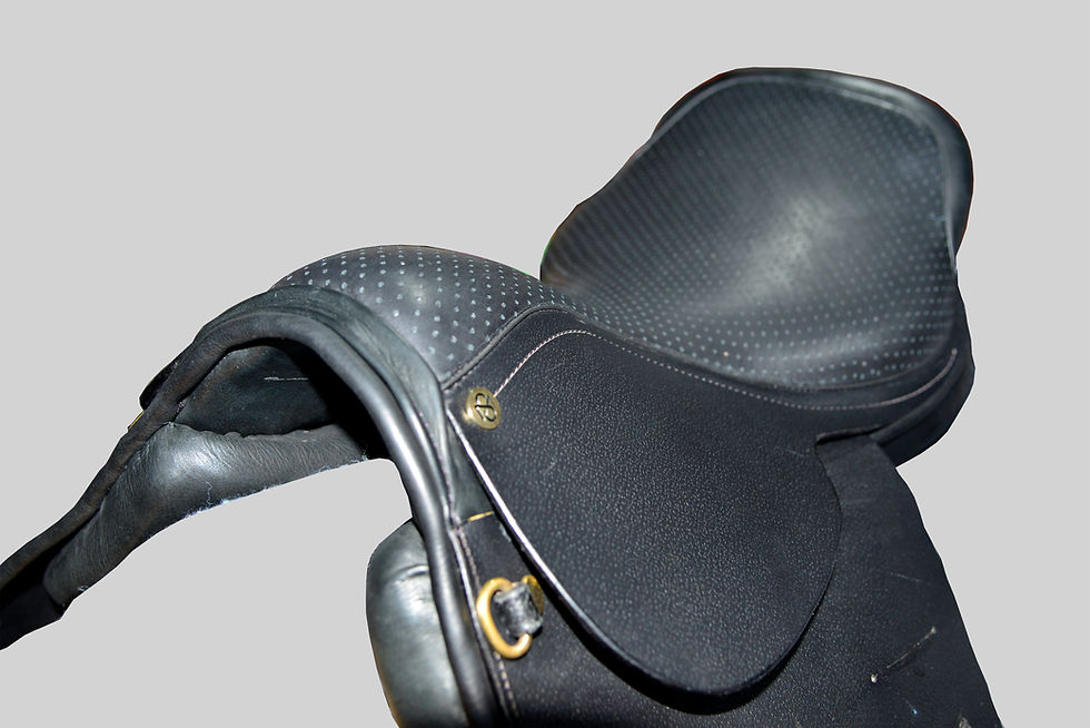 Thumbnail: MS- Anti-Slip Saddle