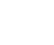 NZFC_Reversed_Short_with_Reo.png
