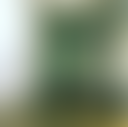 Installing an Exhibition