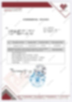 Commercial Invoice