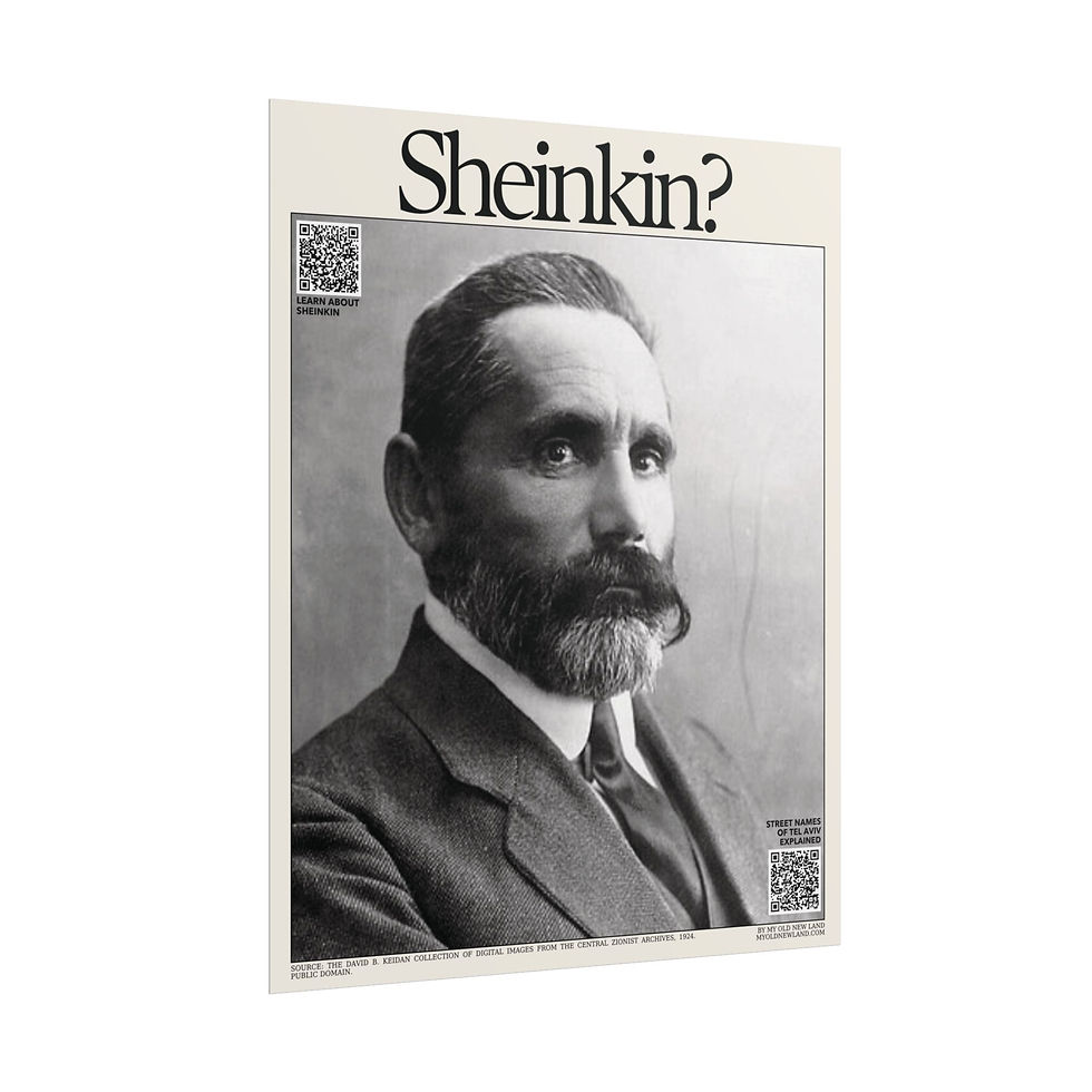 Thumbnail: Menahem Sheinkin - Portrait