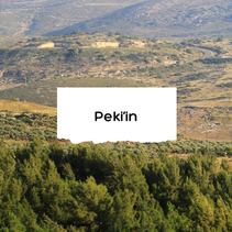 Peki'in