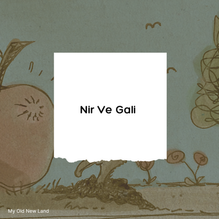 Nir Vegali