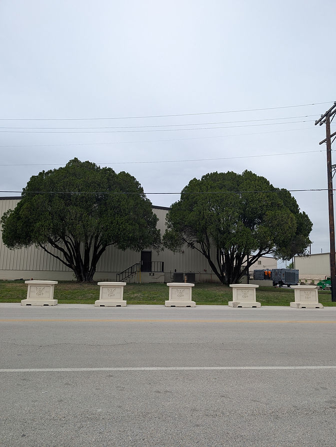 PXL_20250403_205628147.jpg