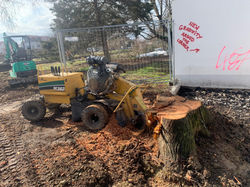 33b6843e-993c-4c19-a59d-de79e48d8991