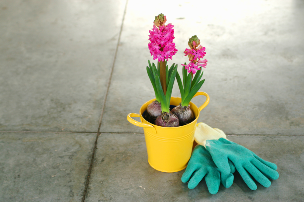 Flower-Artificial Flower