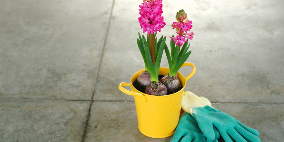 (VIRTUAL) Spring Cleaning - Important Docs in Order