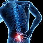 lumbar-spine