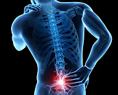 lumbar-spine