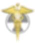 Diagnox TMJ Pain Care Centre Logo
