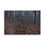 Thumbnail: Desolation Canvas